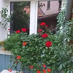 Im Idyllischen Ziegenhain Γιένα