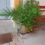 Διαμέρισμα Im Idyllischen Ziegenhain Γιένα