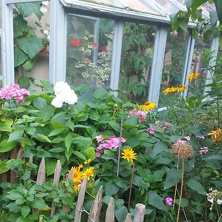 Im Idyllischen Ziegenhain