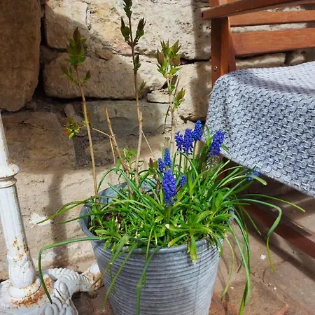 Im Idyllischen Ziegenhain Jéna