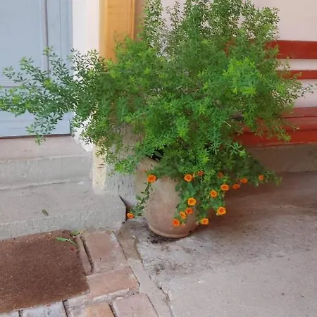 Apartmán Im Idyllischen Ziegenhain Jena