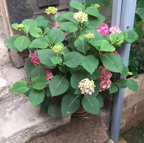 Im Idyllischen Ziegenhain