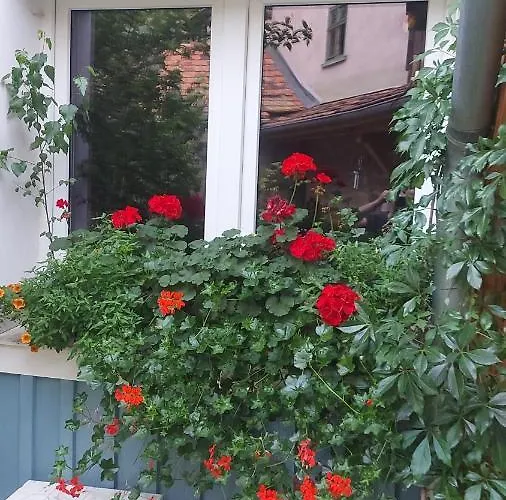 Im Idyllischen Ziegenhain Jena