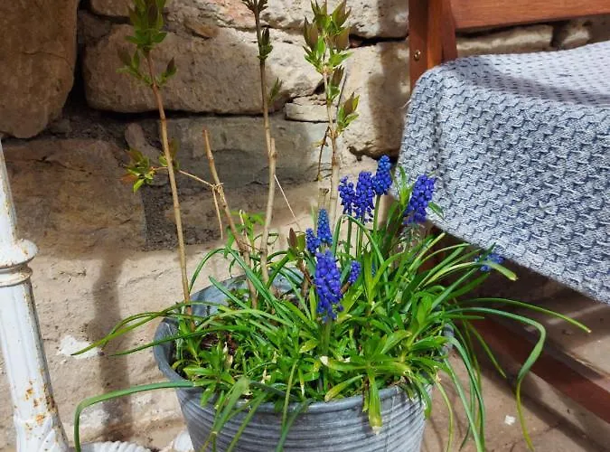 Im Idyllischen Ziegenhain Iéna