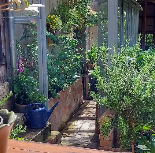 Im Idyllischen Ziegenhain Iéna