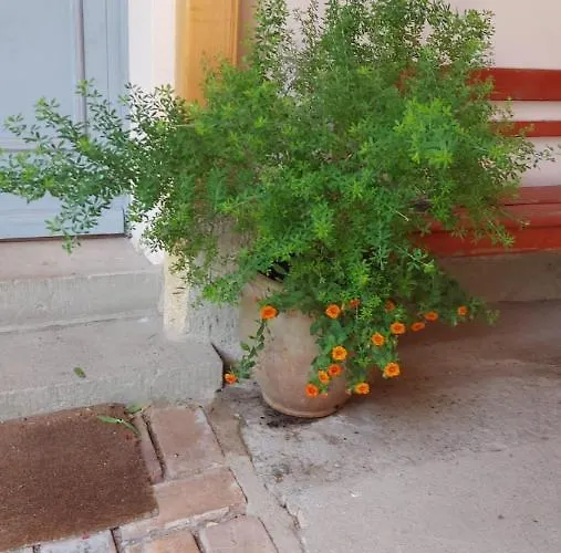 Lejlighed Im Idyllischen Ziegenhain Jena